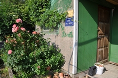 Cliquez sur la vignette pour l'agrandir